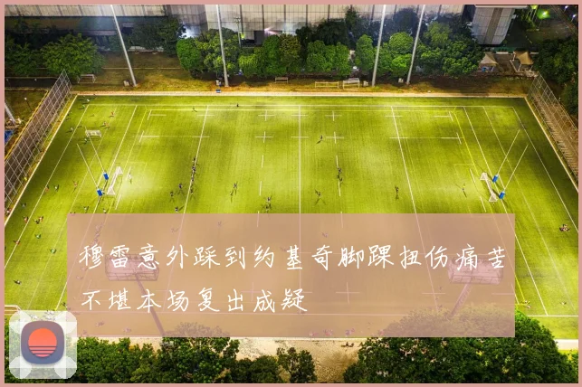 穆雷意外踩到约基奇脚踝扭伤痛苦不堪本场复出成疑