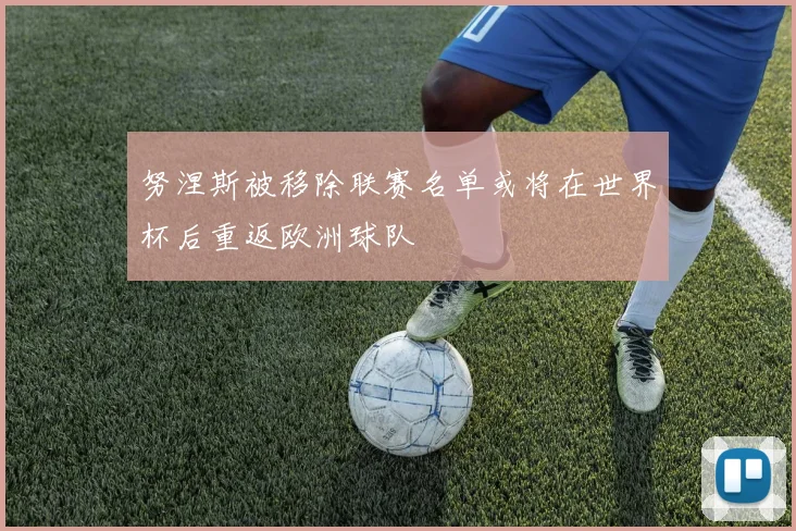 努涅斯被移除联赛名单或将在世界杯后重返欧洲球队