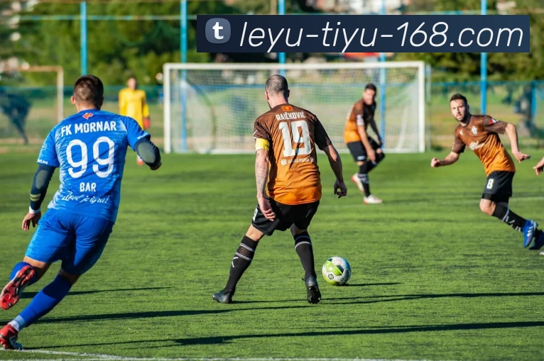 乐鱼体育平台生态图